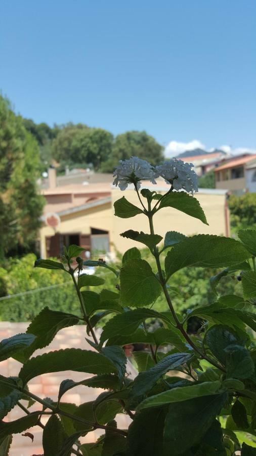 Il Girasole Bed & Breakfast Domus De Maria Dış mekan fotoğraf
